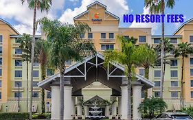 Comfort Suites Maingate East